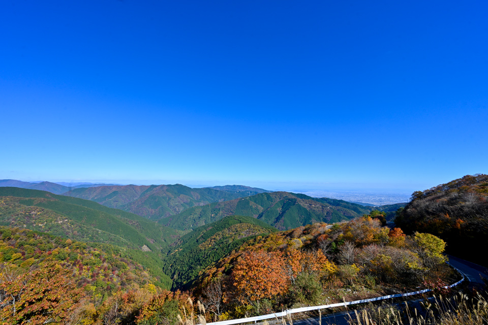 伊吹山ドライブウェイ スポット情報 関ケ原観光ガイド